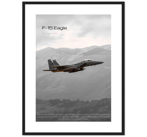 Caza F-15 Eagle