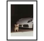 Porsche Animal