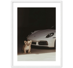 Porsche Animal