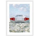 Lamborghini Countach 5000