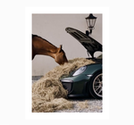 Comedero Porsche