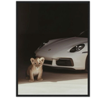 Porsche Animal
