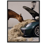 Comedero Porsche