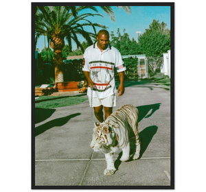 2T - Tyson Tigre