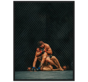 Conor McGregor vs Khabib Nurmagomedov - UFC