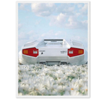 Lamborghini Countach 5000