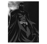 Batman - Darknight