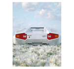Lamborghini Countach 5000
