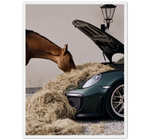 Comedero Porsche