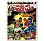 Spiderman vs Muhammad Ali - Portada Cómic