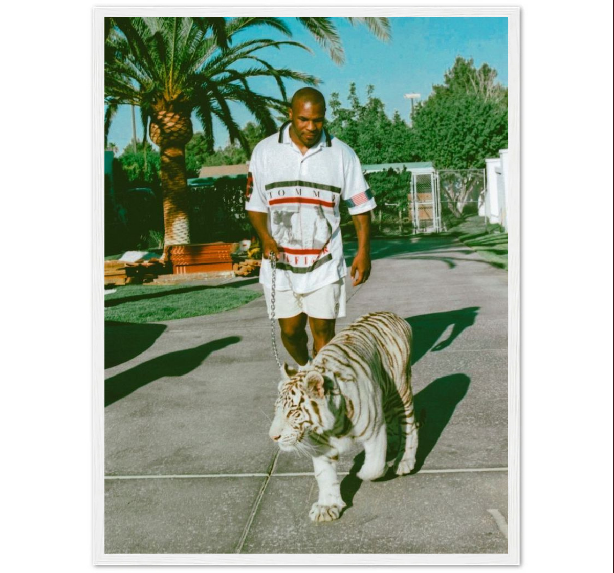 2T - Tyson Tigre