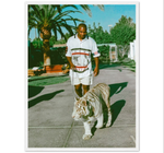 2T - Tyson Tigre