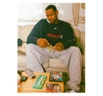 Iconic Lebron James