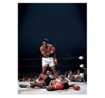 MUHAMMAD ALI