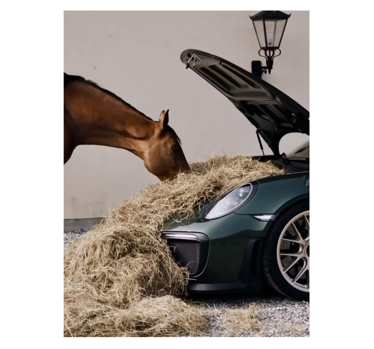 Comedero Porsche