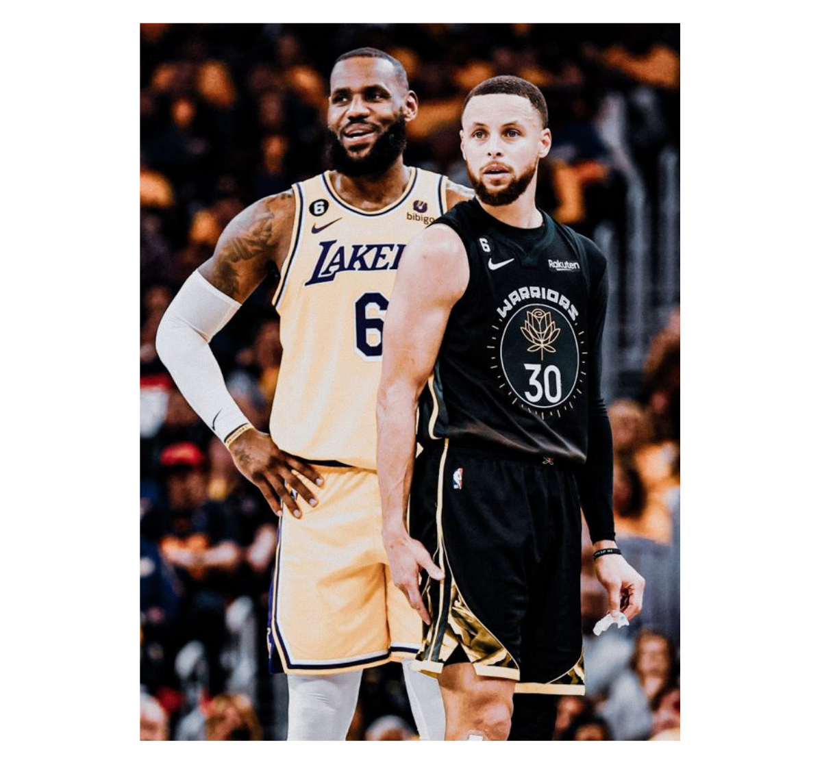 Lebron James & Stephen Curry