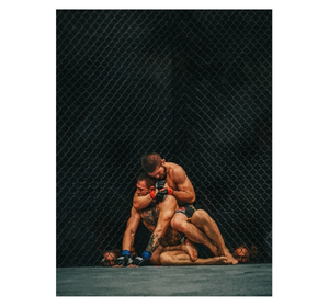 Conor McGregor vs Khabib Nurmagomedov - UFC