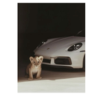 Porsche Animal